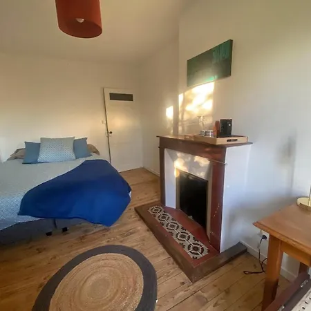 La Belle Verte 3* Laruscade