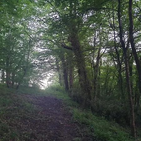 La Belle Verte 3* Laruscade