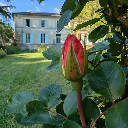La Belle Verte Bed and Breakfast Laruscade