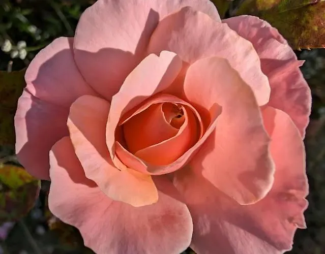 La Belle Verte 3* Laruscade