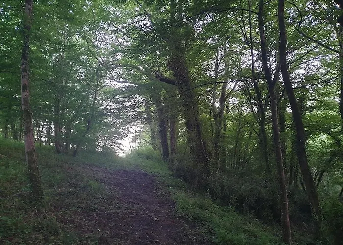 La Belle Verte 3* Laruscade