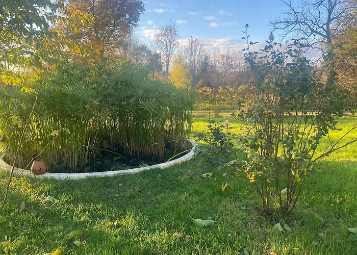 Oda ve Kahvaltı La Belle Verte