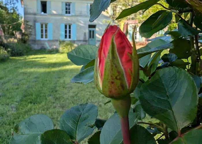 La Belle Verte Oda ve Kahvaltı Laruscade